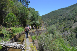 Caminha na Serra da Lousã